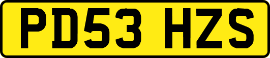 PD53HZS