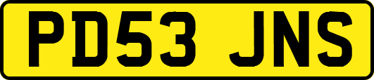 PD53JNS
