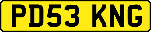 PD53KNG