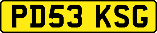 PD53KSG