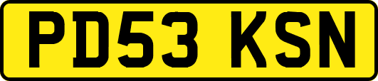 PD53KSN