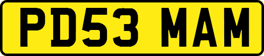 PD53MAM
