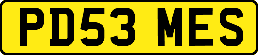 PD53MES