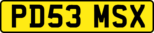 PD53MSX