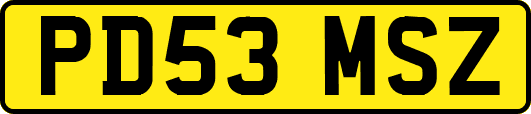 PD53MSZ