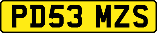 PD53MZS