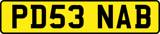 PD53NAB