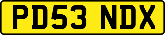 PD53NDX
