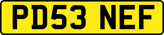 PD53NEF