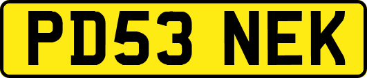 PD53NEK