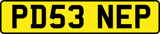 PD53NEP