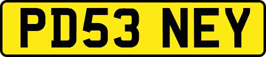 PD53NEY