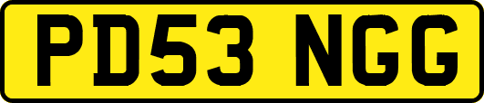 PD53NGG