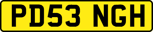 PD53NGH