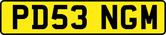 PD53NGM