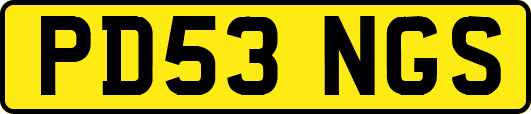 PD53NGS