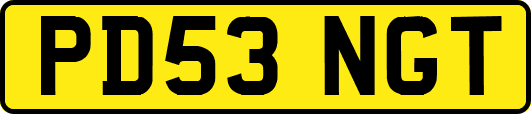 PD53NGT