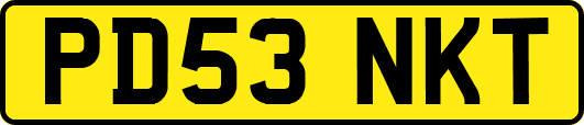 PD53NKT