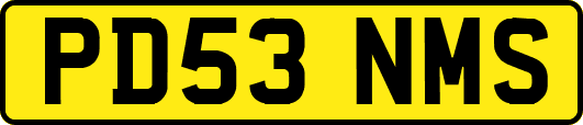 PD53NMS