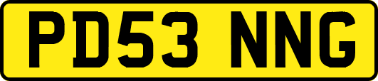 PD53NNG