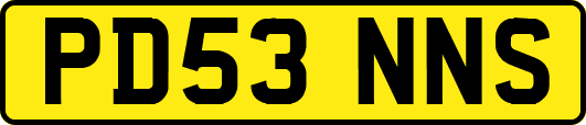 PD53NNS