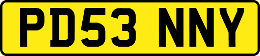 PD53NNY