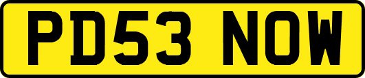 PD53NOW
