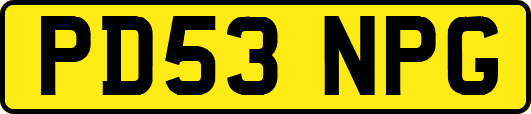 PD53NPG