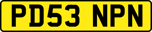 PD53NPN