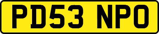 PD53NPO