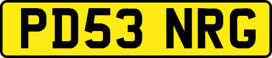 PD53NRG