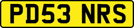 PD53NRS