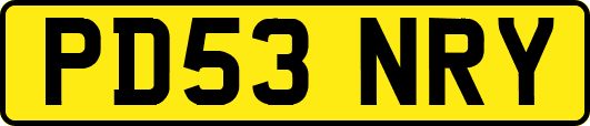 PD53NRY
