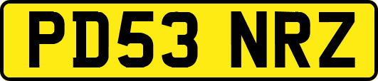 PD53NRZ