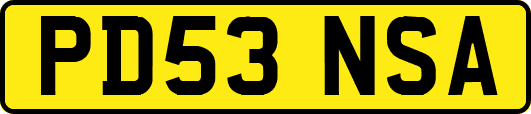 PD53NSA