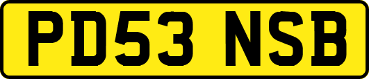 PD53NSB