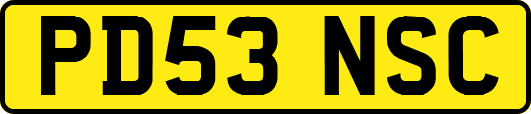 PD53NSC