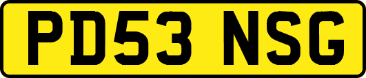 PD53NSG