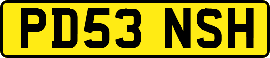 PD53NSH