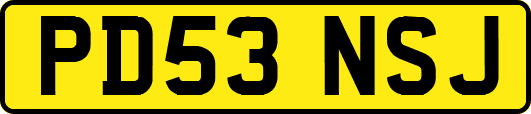 PD53NSJ