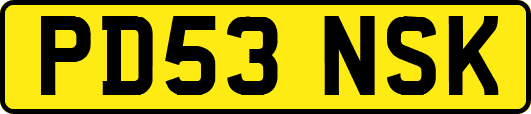 PD53NSK