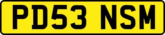 PD53NSM