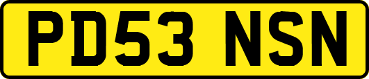 PD53NSN