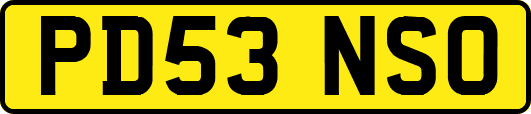PD53NSO