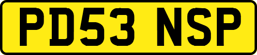 PD53NSP