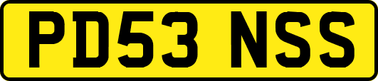 PD53NSS