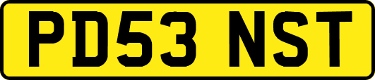 PD53NST