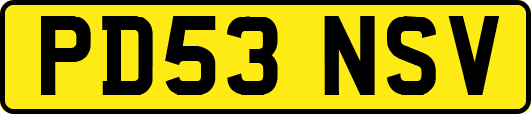 PD53NSV