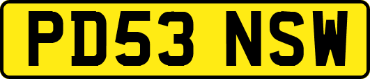 PD53NSW