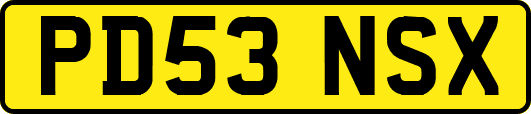 PD53NSX